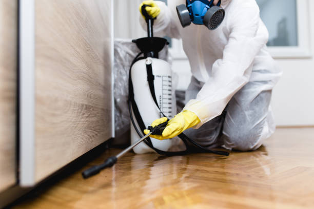 Best Pest Control Near Me  in Hampton, VA