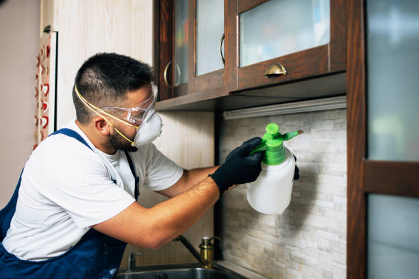 Best Residential Pest Control  in Hampton, VA
