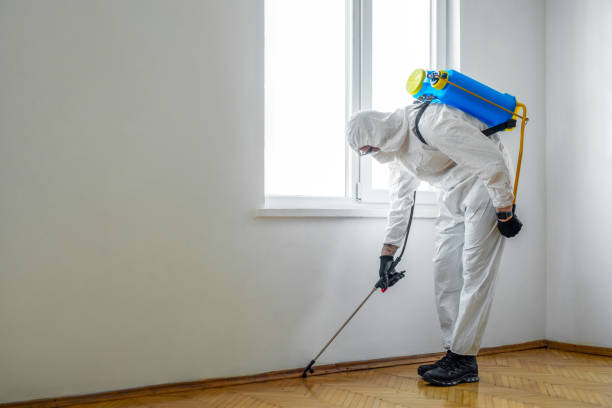 Best Best Pest Control Near Me  in Hampton, VA