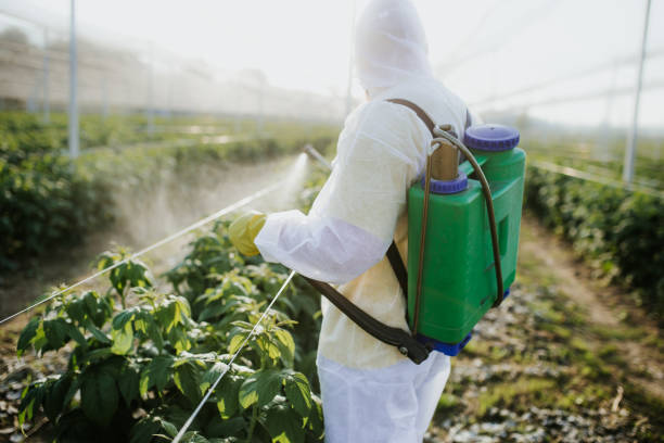 Trusted Hampton, VA Pest Control Experts